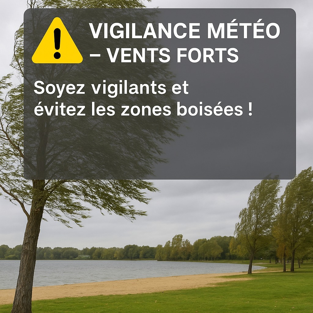 ALERTE VENT FORT